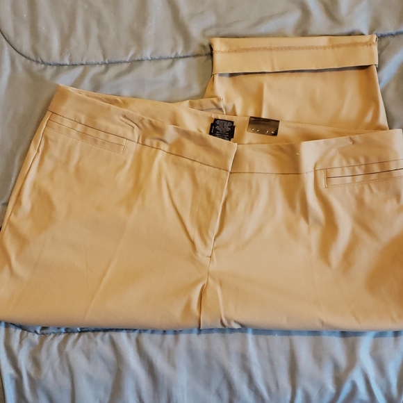 Ladies Capris - Picture 3 of 3